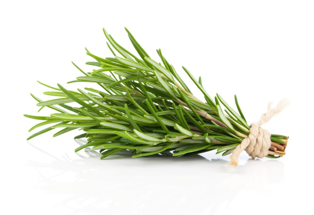 11 Amazing Health Benefits of Rosemary