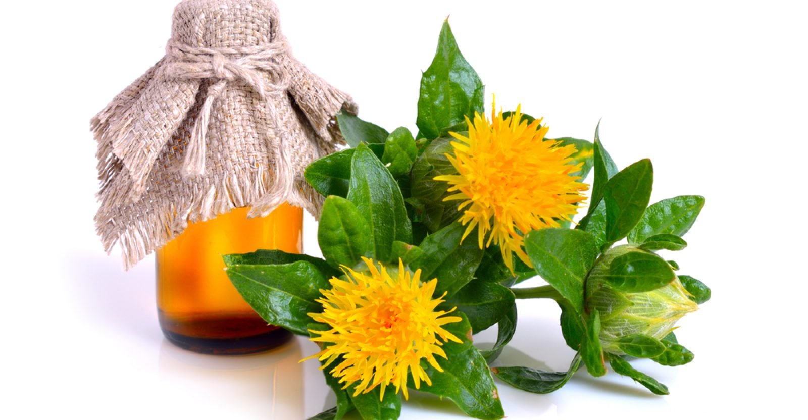 11-best-health-benefits-of-safflower-oil-natural-food-series