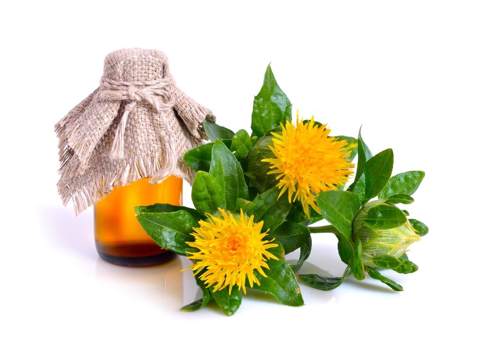 11 Amazing Health Benefits of Safflower Oil