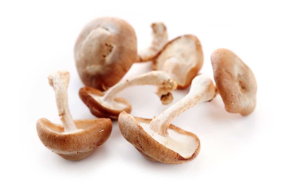11 Amazing Benefits of Shiitake Mushrooms