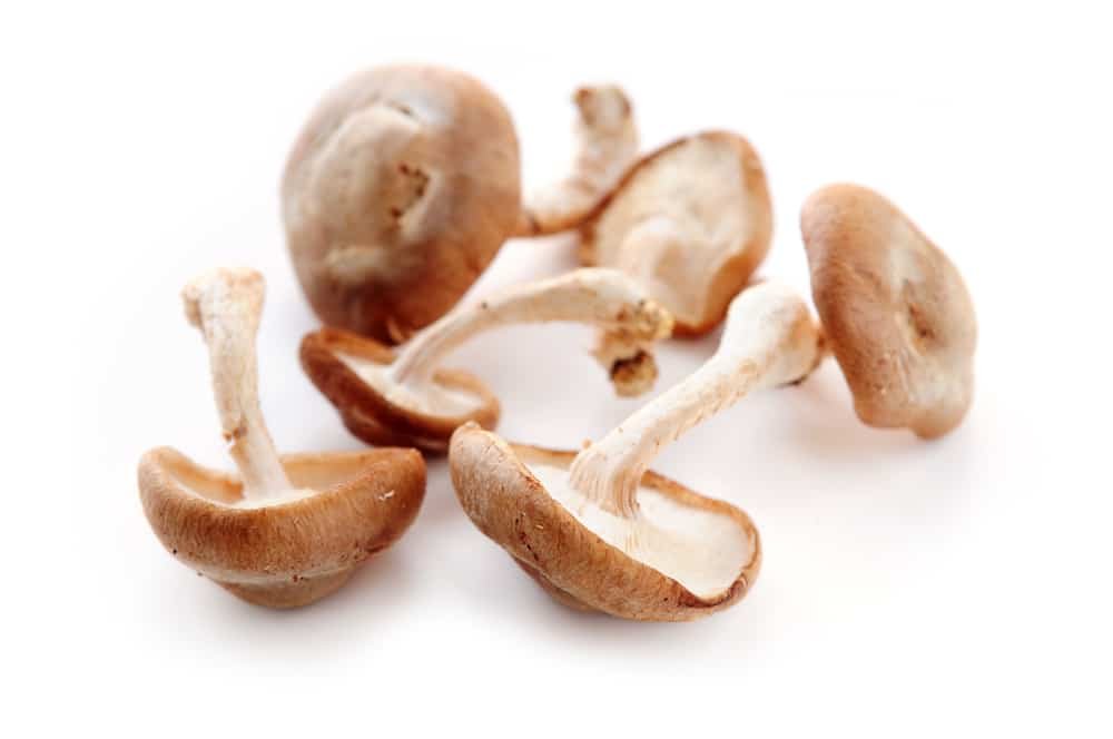 Shiitake Mushrooms