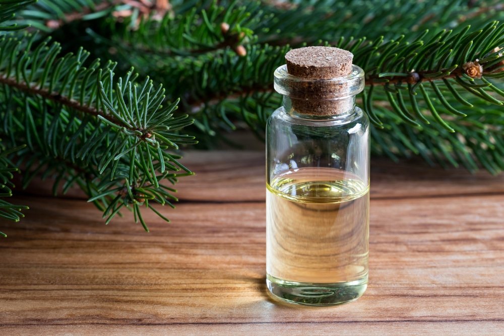 13 Health Benefits of Spruce Essential Oil