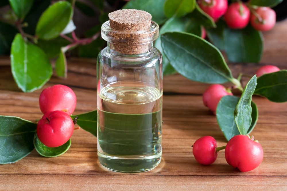 12 Impressive Benefits of Wintergreen Essential Oil