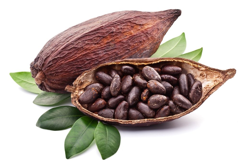 13 Impressive Health Benefits of Cocoa
