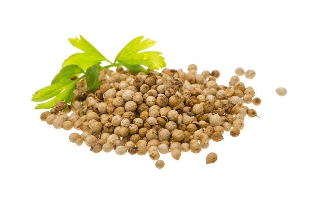 11 Amazing Health Benefits of Coriander Seeds