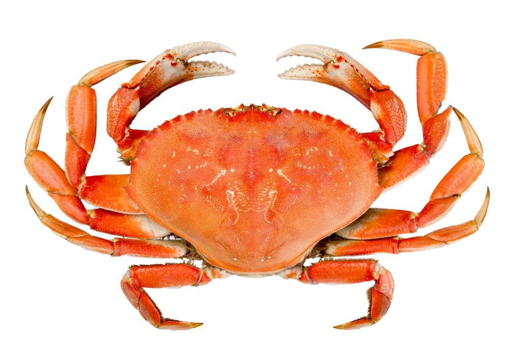 11 Amazing Health Benefits of Eating Crab