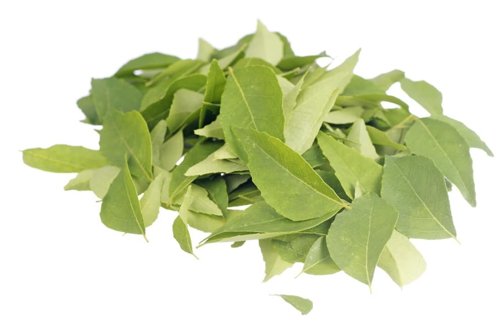 Curry Leaves