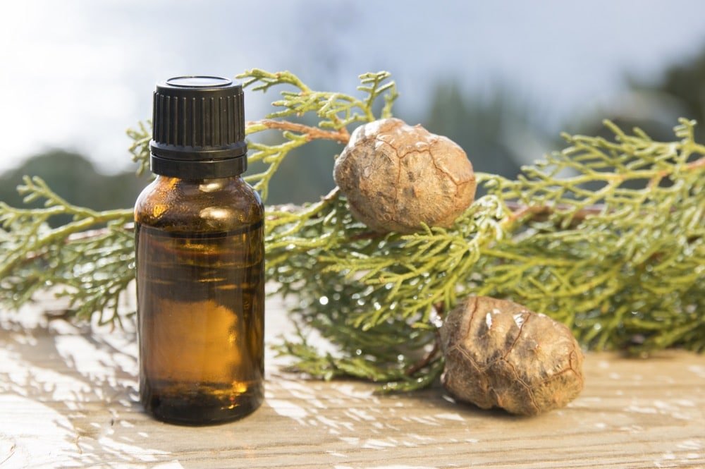 11 Amazing Benefits Of Cypress Essential Oil