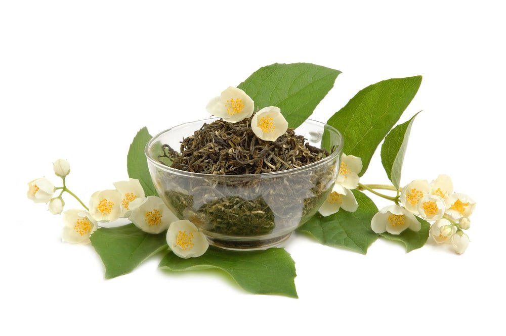 11 Amazing Health Benefits of Jasmine Tea