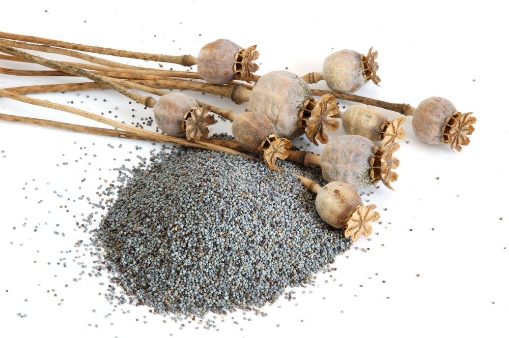 11-amazing-health-benefits-of-poppy-seeds-natural-food-series