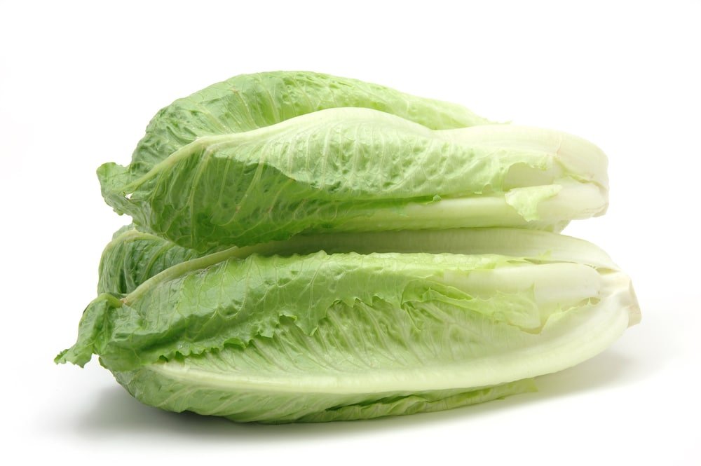 Romaine Lettuce