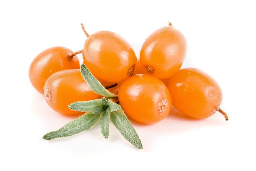 11 Amazing Health Benefits of Sea Buckthorn