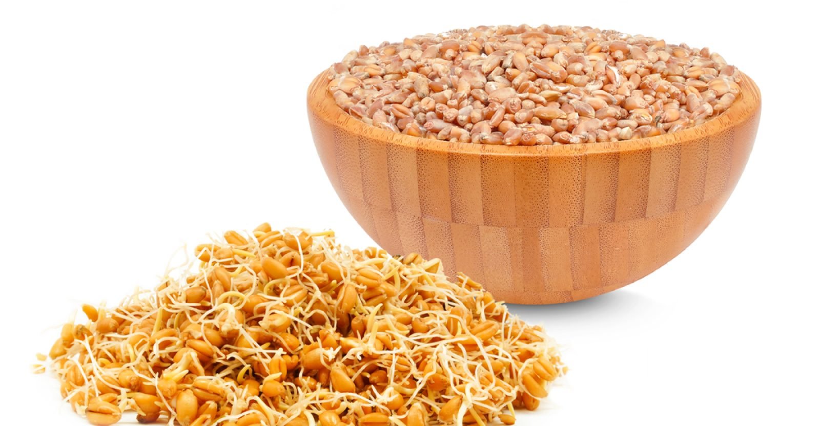 11-amazing-health-benefits-of-wheat-germ-natural-food-series