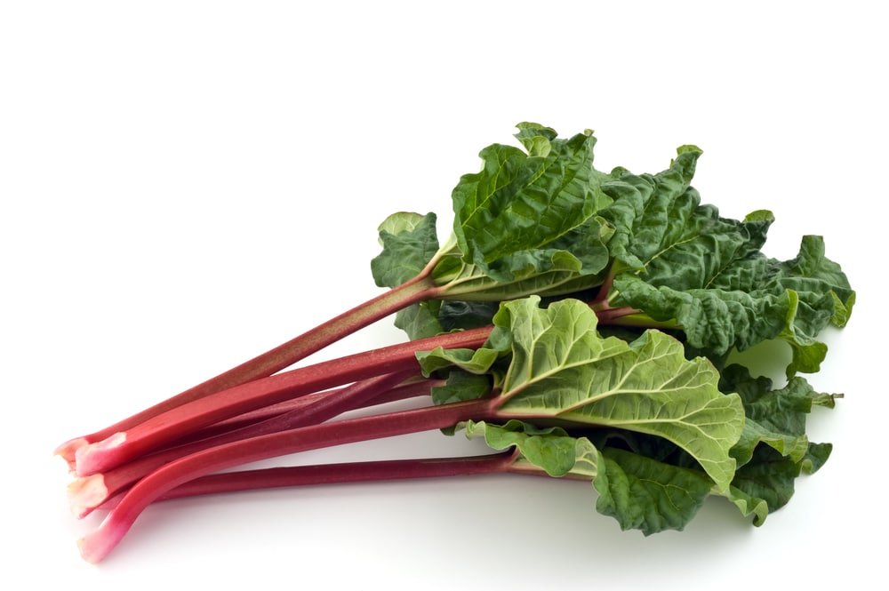 11 Amazing Health Benefits of Rhubarb