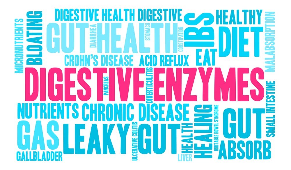 11 Health Benefits of Digestive Enzymes