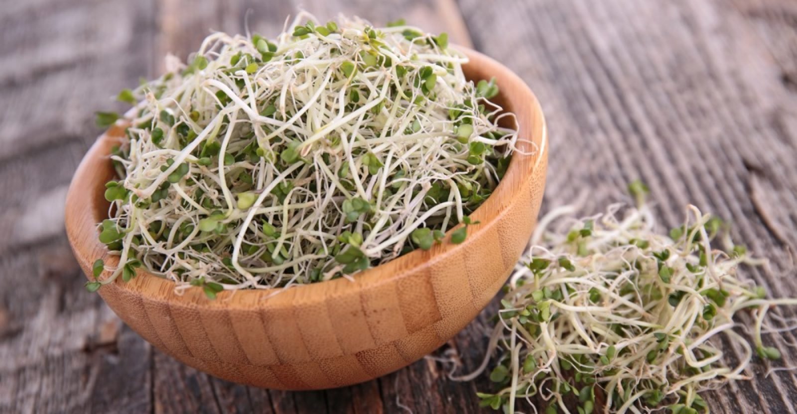 11-proven-benefits-of-broccoli-sprouts-natural-food-series