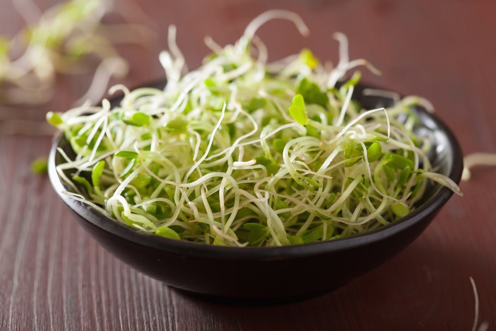 How To Eat Clover Sprouts