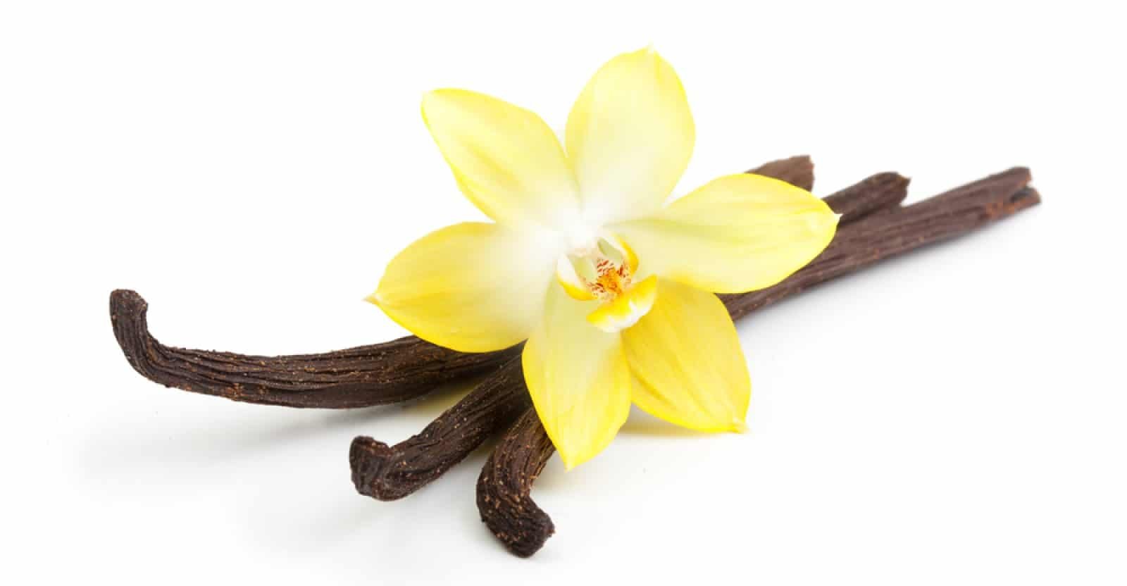 11-amazing-health-benefits-of-vanilla-natural-food-series