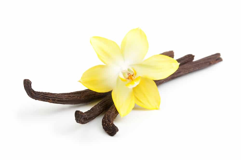 11 Amazing Health Benefits of Vanilla