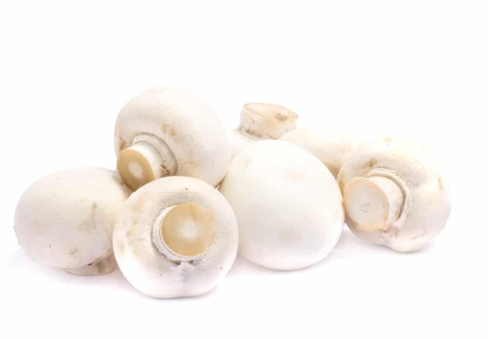 White Mushrooms