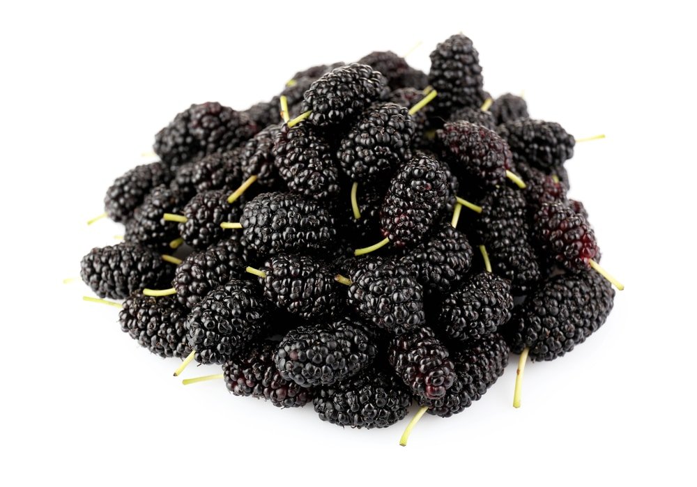 11 Amazing Health Benefits of Mulberries