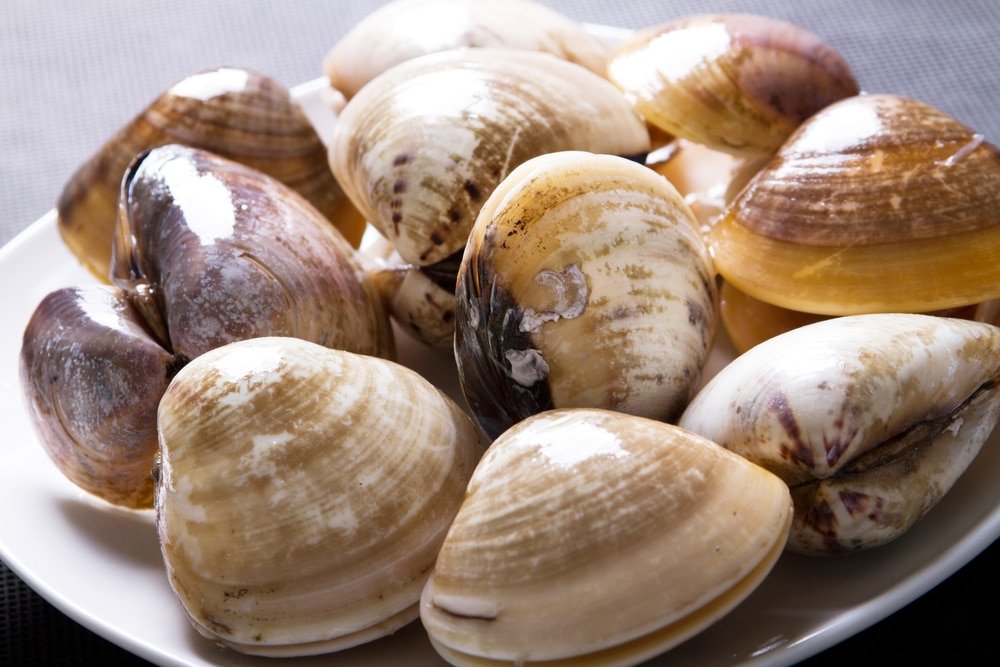 9 Amazing Health Benefits of Clams