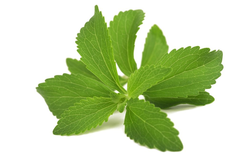 Stevia