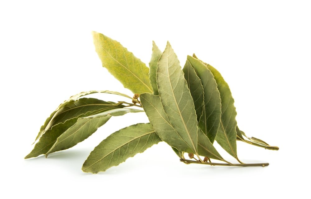 Bay Leaves