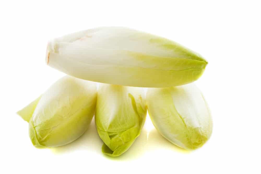 11-amazing-health-benefits-of-endive-natural-food-series