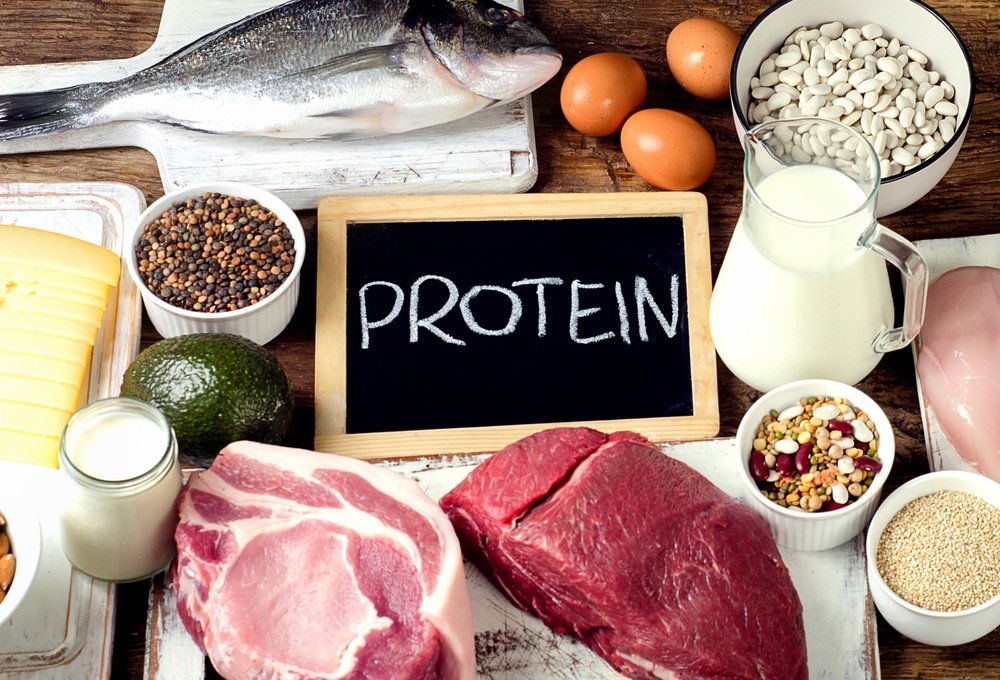 Top 15 Foods That Are Very Rich In Protein