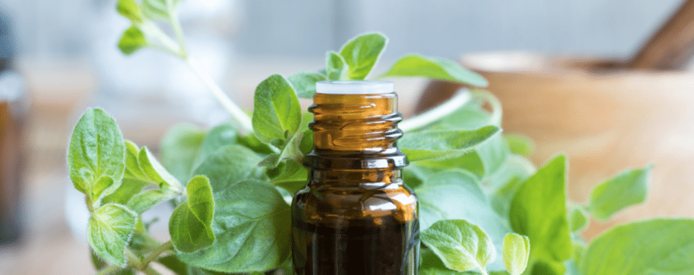 Oregano Oil