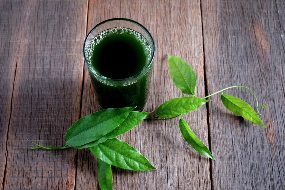 13 Amazing Benefits of Chlorophyll