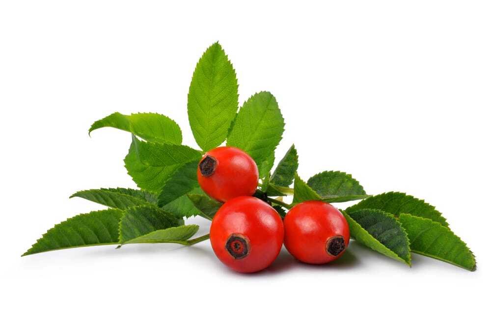 9 Amazing Benefits of Rose Hips