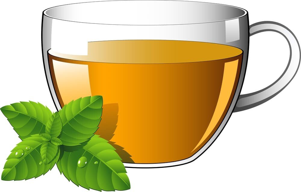 11 Amazing Benefits Of Spearmint Tea