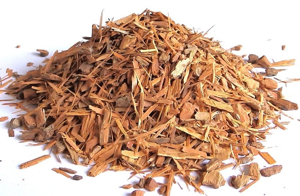 Catuaba Bark benefits